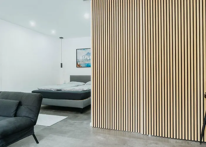 公寓 Loft 38 美因茨